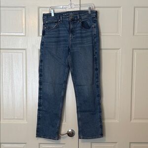 American Eagle Outfitters 90s Straight Jeans 12R